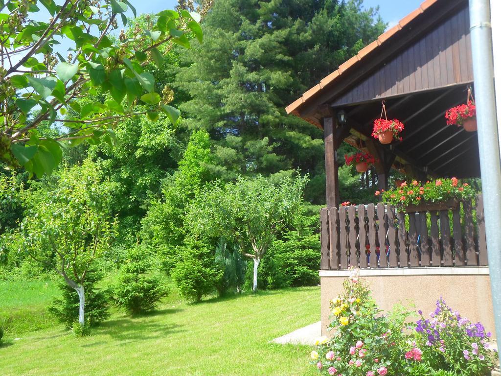 House Petra Apartment Rakovica