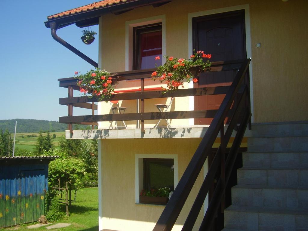 House Petra